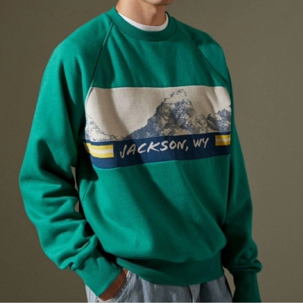 EUC Urban Outfitters Green and Cream Graphic Sweatshirt